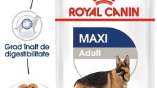 Royal Canin Maxi Adult hrana umeda caine (in sos), 10x140 g