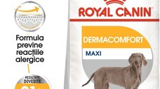 Royal Canin Maxi Dermacomfort hrana uscata caine, prevenirea iritatiilor pielii, 12 kg