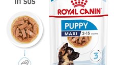Royal Canin Maxi Puppy hrana umeda caine junior (in sos), 140 g