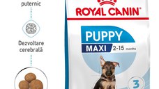 Royal Canin Maxi Puppy hrana uscata caine junior, 15 kg