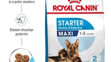 Royal Canin Maxi Starter Mother & Babydog, mama si puiul, hrana uscata caine, 4 kg