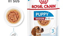 Royal Canin Medium Puppy hrana umeda caine junior (in sos), 10 x 140 g