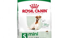 Royal Canin Mini Adult 8+ hrana uscata caine