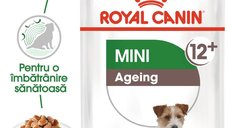 Royal Canin Mini Ageing 12+  hrana umeda caine senior (in sos), 12 x 85 g