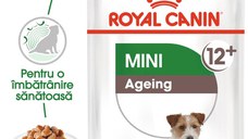 Royal Canin Mini Ageing 12+  hrana umeda caine senior (in sos), 12 x 85 g