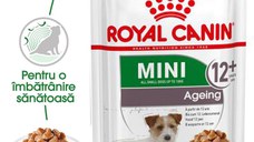 Royal Canin Mini Ageing 12+  hrana umeda caine senior (in sos), 85 g