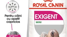 Royal Canin Mini Exigent hrana uscata caine, apetit capricios, 3 kg