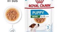 Royal Canin Mini Puppy hrana umeda caine junior (in sos), 85 g