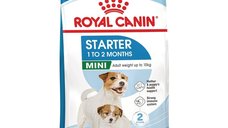 Royal Canin Mini Starter Mother & Babydog, mama si puiul, hrana uscata caine, 8 kg