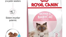 Royal Canin Mother & BabyCat hrana uscata pentru pisici, mama si pui, 2 kg