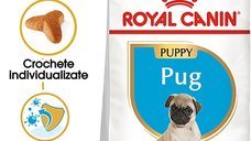 Royal Canin Pug Puppy hrana uscata caine junior, 1.5 kg