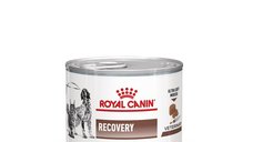ROYAL CANIN Recovery, dieta veterinara caini si pisici, convalescenta, 195 g
