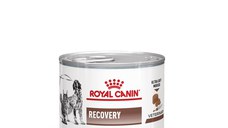 ROYAL CANIN Recovery, dieta veterinara caini si pisici, convalescenta, 195 g