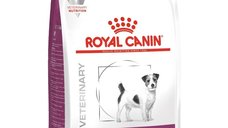 Royal Canin Renal Small Dog Dry, 3 kg