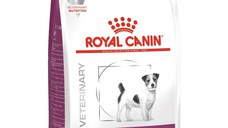 Royal Canin Renal Small Dog Dry, 3 kg