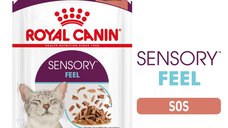 Royal Canin Sensory Feel, hrana umeda pisici, stimularea simtului tactil (in sos), 12 x 85 g