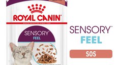 Royal Canin Sensory Feel, hrana umeda pisici, stimularea simtului tactil (in sos), 12 x 85 g