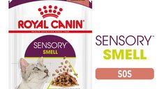 Royal Canin Sensory Smell, hrana umeda pentru pisici, 85 g, stimulare olfactiva