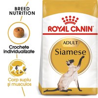 Royal Canin Siamese Adult hrana uscata pisica, 2 kg - 1