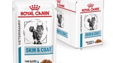 ROYAL CANIN Skin & Coat, formula veterinara, plic hrana umeda pisici, afectiuni dermatologice, 12x85 g