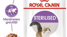 Royal Canin Sterilised Adult hrana umeda pentru pisici sterilizate, 12 x 85 g