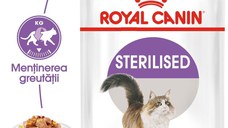 Royal Canin Sterilised Adult hrana umeda pisica sterilizata (in aspic), 12 x 85 g