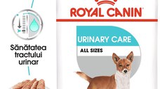 Royal Canin Urinary Care Adult hrana umeda caine, sanatatea tractului urinar (pate), 12 x 85 g