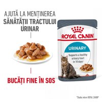 Royal Canin Urinary Care Adult hrana umeda pisica, sanatatea tractului urinar (in sos), 85 g - 1