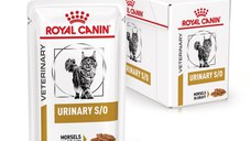 ROYAL CANIN Urinary S/O, dieta veterinara, plic hrana umeda pisici, sistem urinar, (in sos), 12x85 g