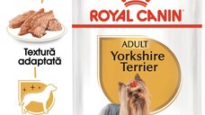 Royal Canin Yorkshire Terrier Adult hrana umeda caine (pate), 85 g