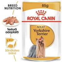 Royal Canin Yorkshire Terrier Adult hrana umeda caine (pate), 85 g - 1