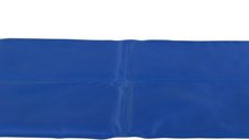 Saltea Racoritoare 100 x 60 cm Albastru 28688