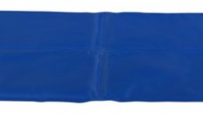 Saltea Racoritoare 50x40 cm Albastru 28685