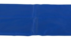 Saltea Racoritoare 65x50 cm Albastru 28684
