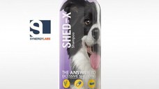 Sampon Antinaparlire Caini, Shed-Ex Synergy Labs, 473 ml