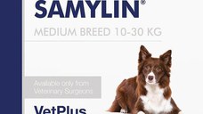 Samylin Medium Breed 10-30 kg, 30 tablete