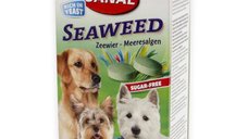 Sanal Dog Seaweed 100 tablete