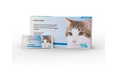 Solutie antiparazitara, Fiprin Spot Cat, 25 x 0,5 ml
