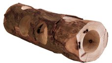 Tunel Lemn Natural 7x30 cm Rozatoare Mici 6131