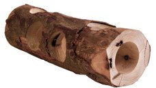 Tunel Lemn Natural 7x30 cm Rozatoare Mici 6131