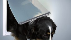 Usa Batanta 2-Way pentru Caini M-XL 39x45 cm Alb 3879