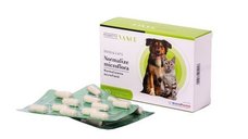 VANCE PROBIOTIC DOGS & CATS, 30 capsule