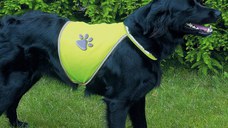 Vesta de Siguranta S 28-42 cm/39-50 cm 30081