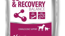 VetFood BB & RECOVERY BALANCE, 100 g