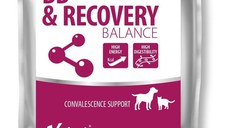 VetFood BB & RECOVERY BALANCE, 100 g
