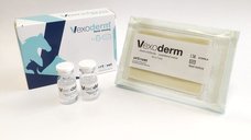 VEXODERM, 10x7 cm