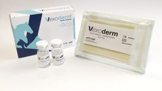 VEXODERM, 10x7 cm