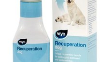 Viyo Recuperation Dog, 150 ml