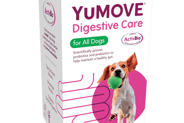 YuMove Digestive Care For All Dogs, 120 comprimate