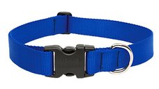 Zgarda Nylon Caini Blue Click 10 mm x 20-35 cm